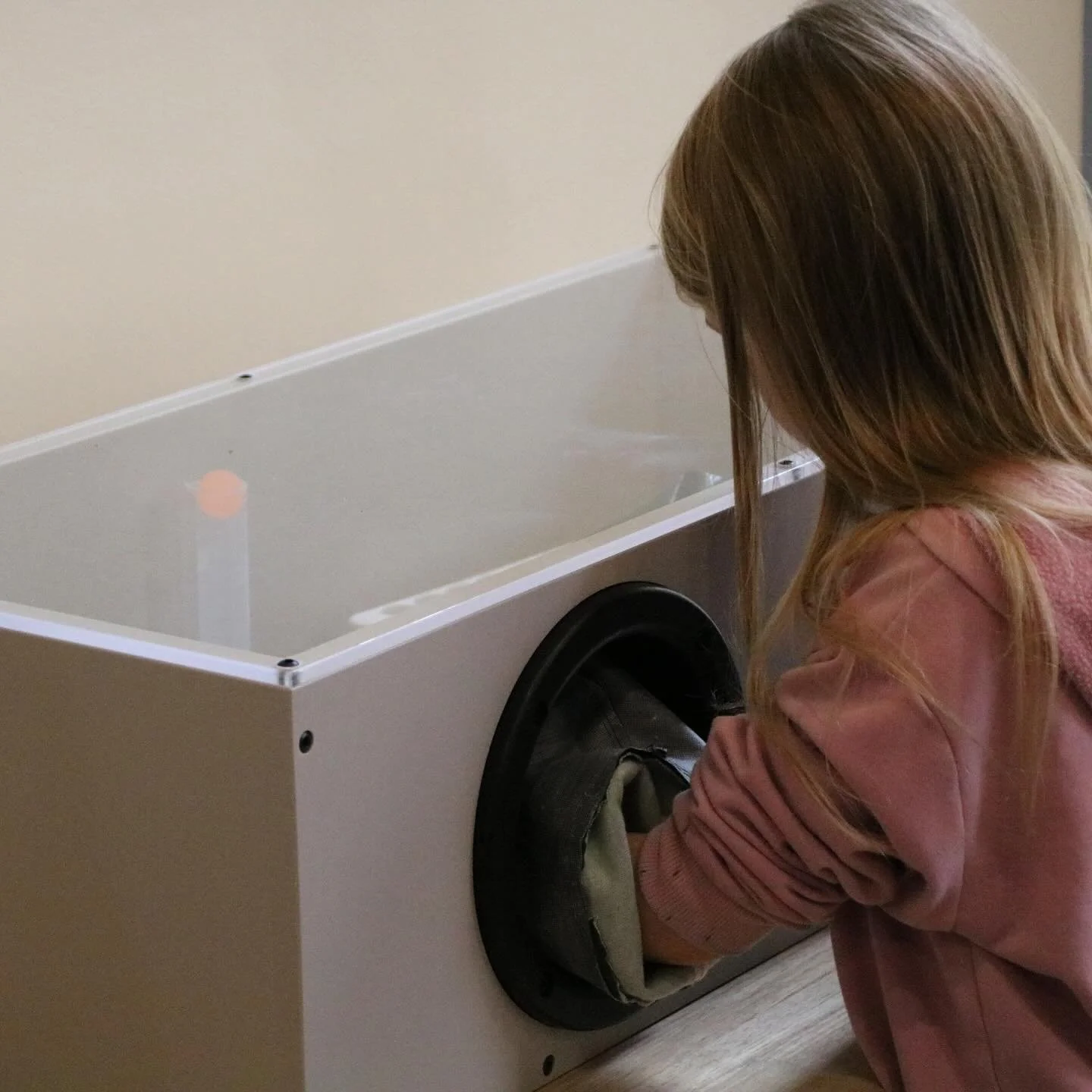 A young girl with long hair scooping a small animal, possibly a guinea pig, into a white enclosure.