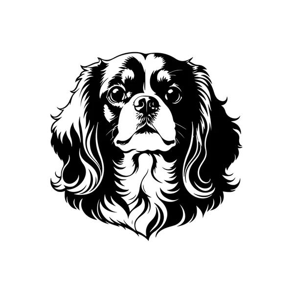 Business Evaluation Services