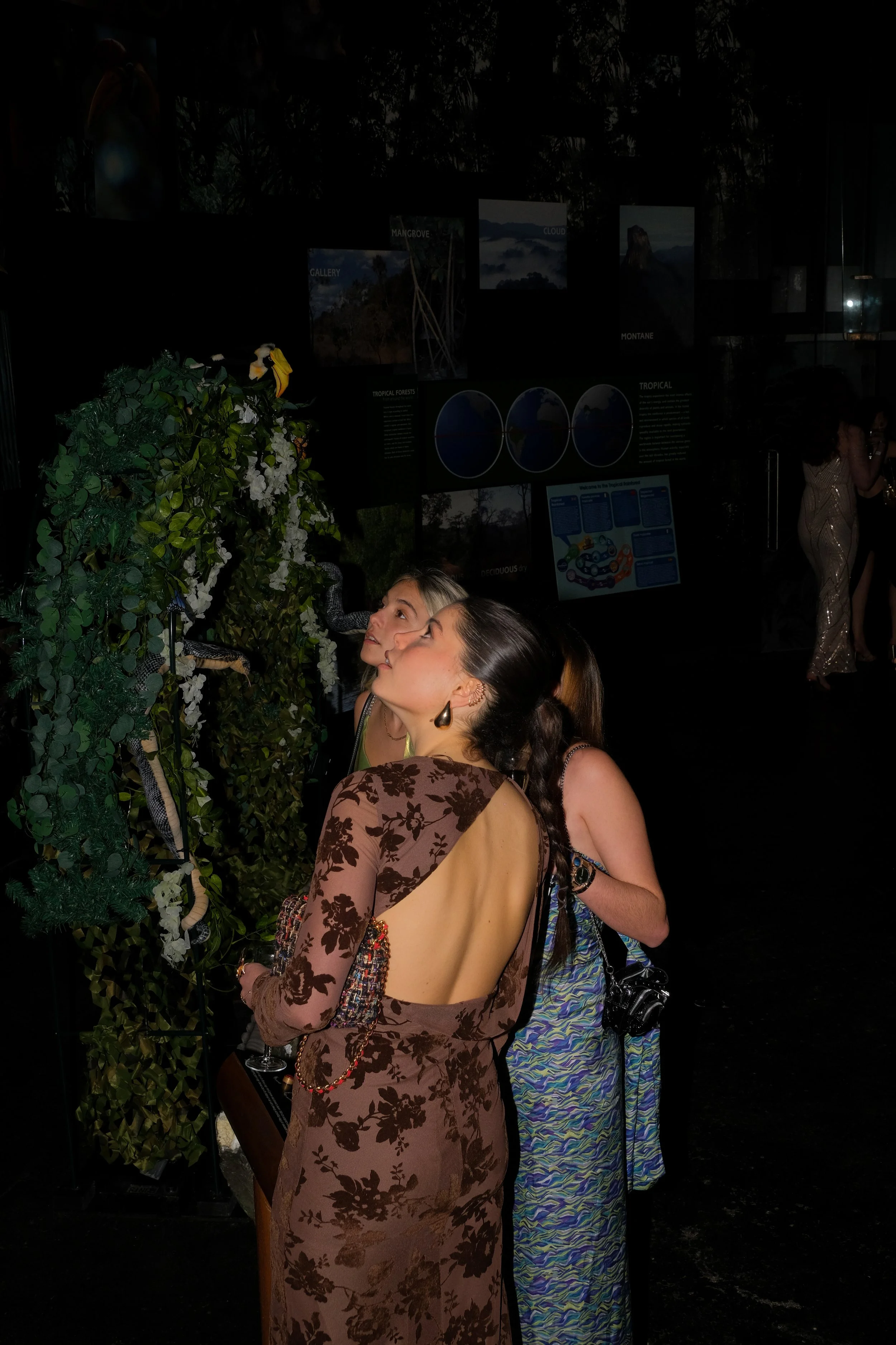 Two women in evening gowns viewing an exhibition with snakes.