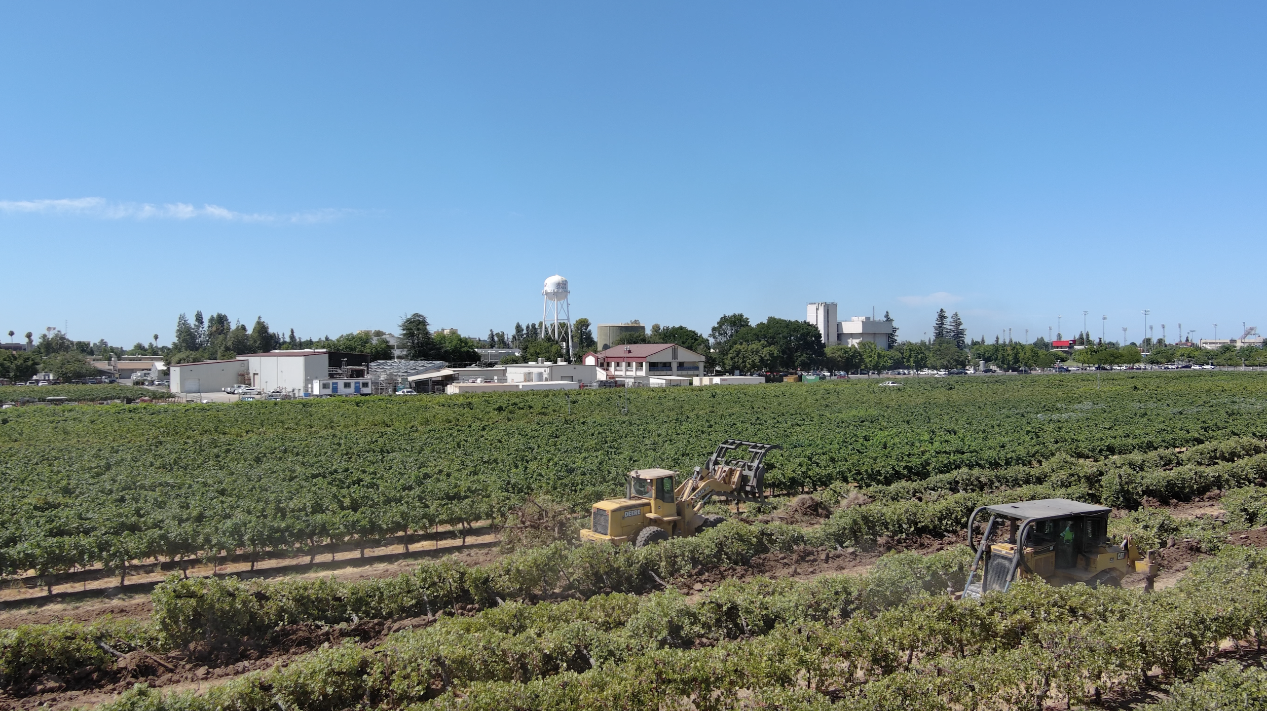 Vineyard Tree Removal