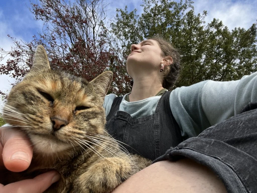 A cat who crawled in Larkin's lap while she was sitting next to a Dolman