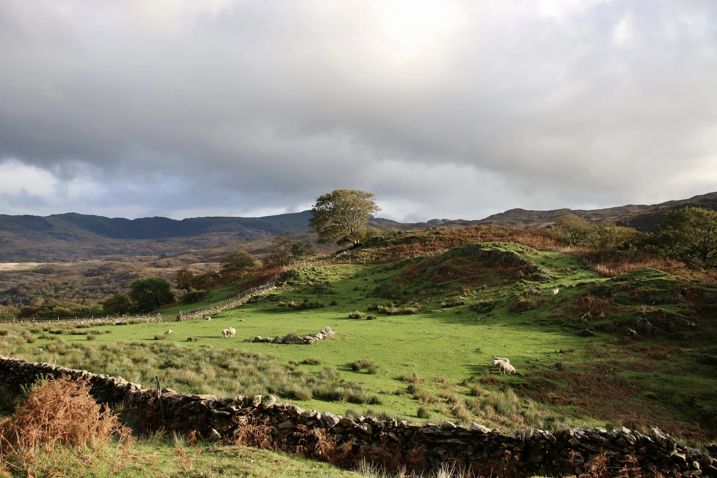 NUMINOUS Snowdonia Wales 11.jpeg
