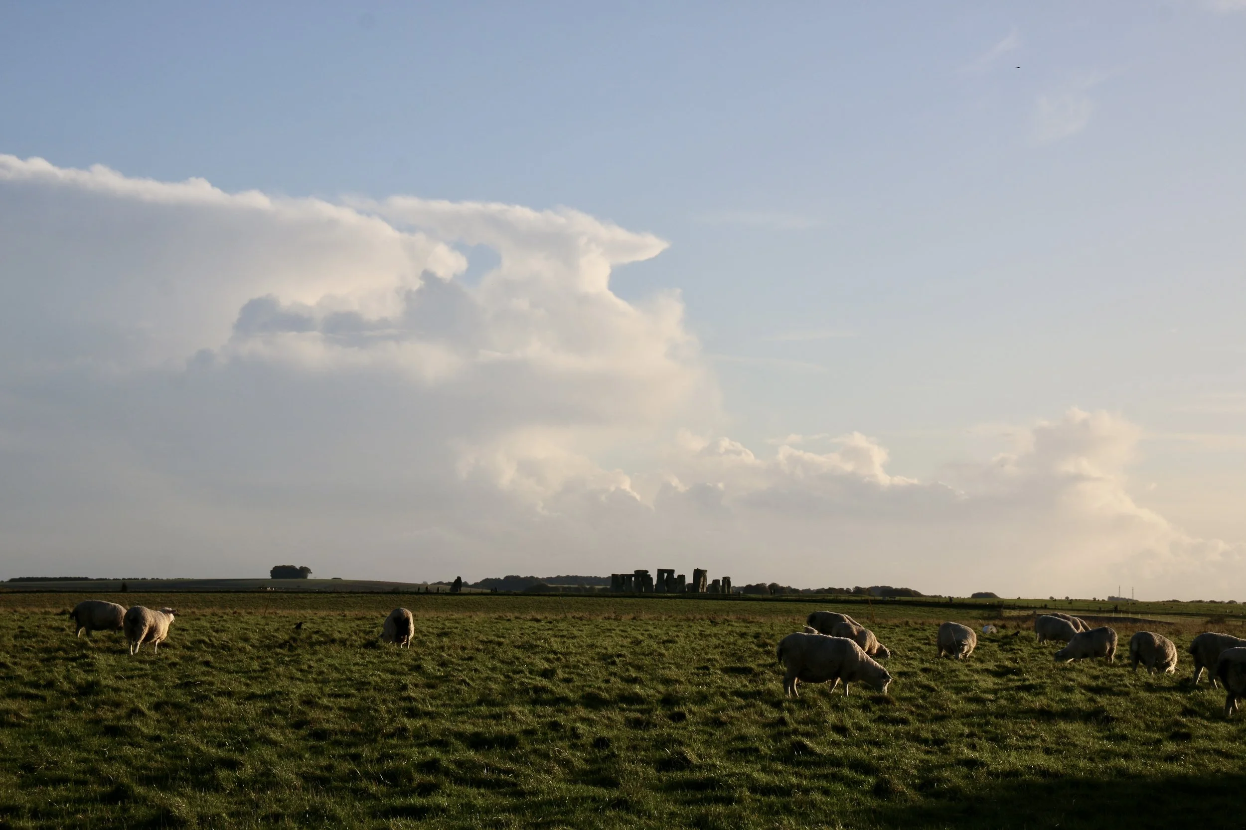 NUMINOUS England Stonehenge 9.jpeg