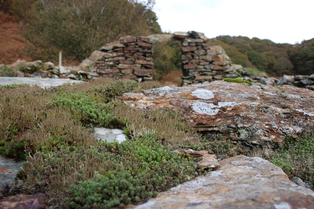 NUMINOUS Snowdonia Wales House Ruins 3.jpeg