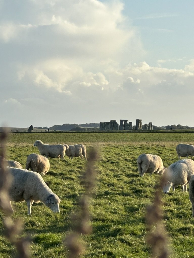 NUMINOUS England Stonehenge 11.jpeg