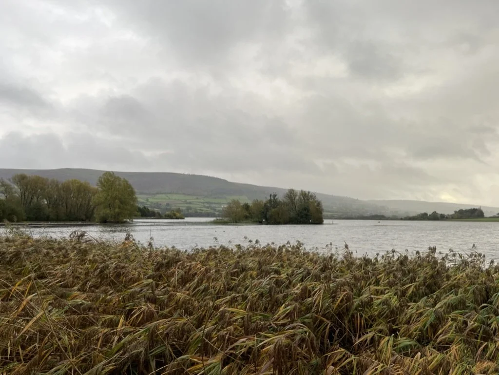 Waking up at Llangorse Lake