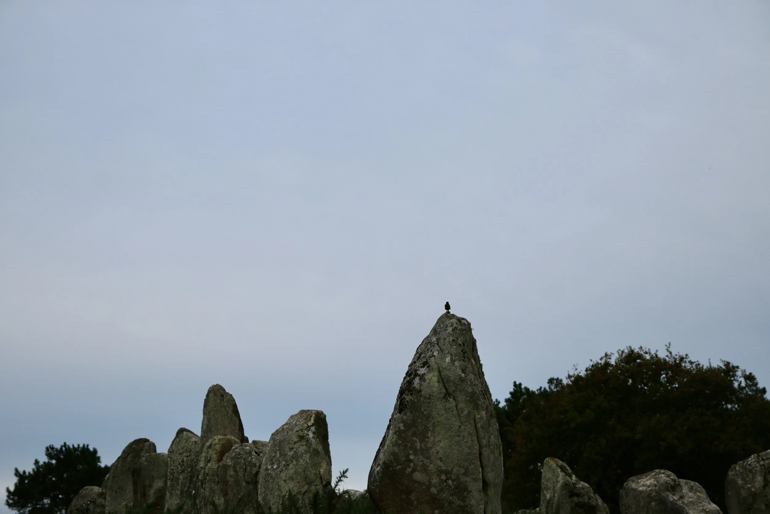 37C93491-0211-46DB-A8A1-28687AF0BF20_1_201_a.jpeg