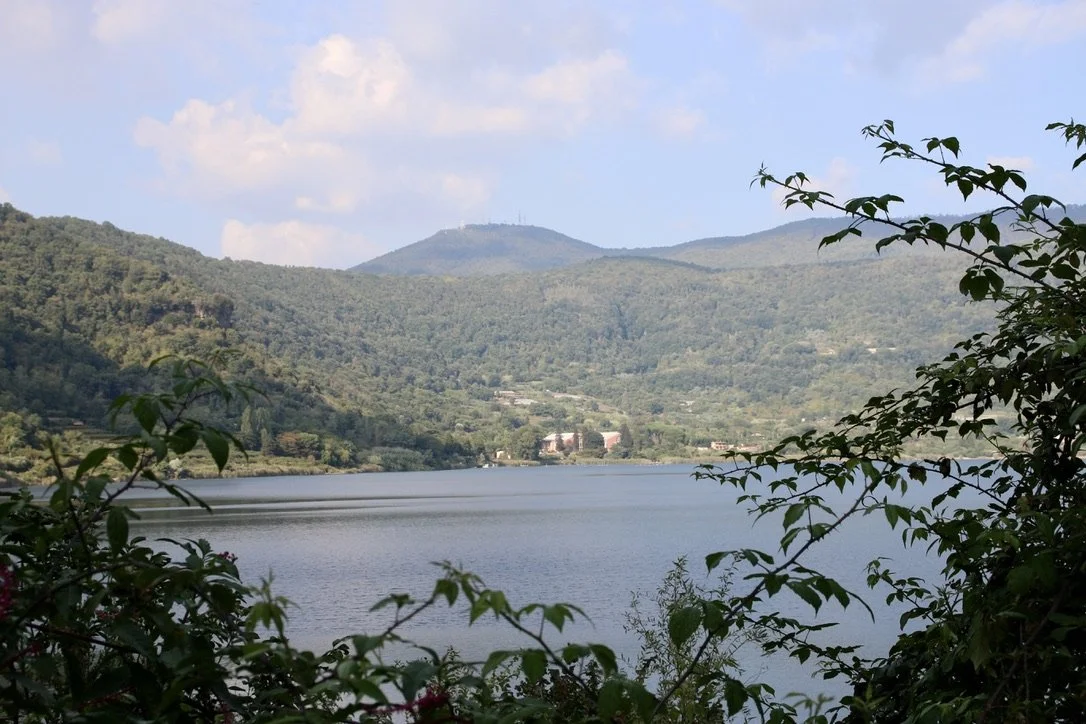 The museum where the ships were is close to the buildings visible here, close to the shore