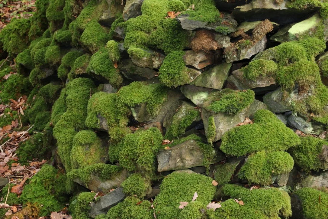 NUMINOUS Snowdonia Wales 15.jpeg