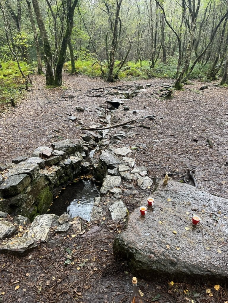 La fontaine de Barenton in La Forêt de Brocéliande (Broceliande Forest)