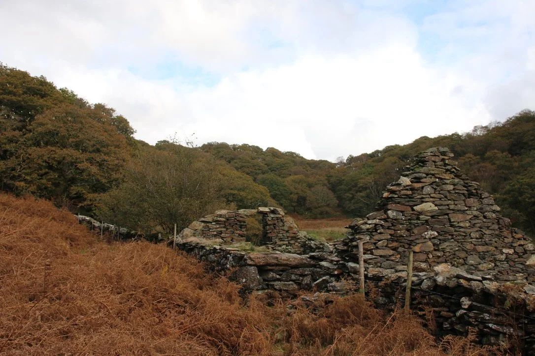 NUMINOUS Snowdonia Wales House Ruins 4.jpeg