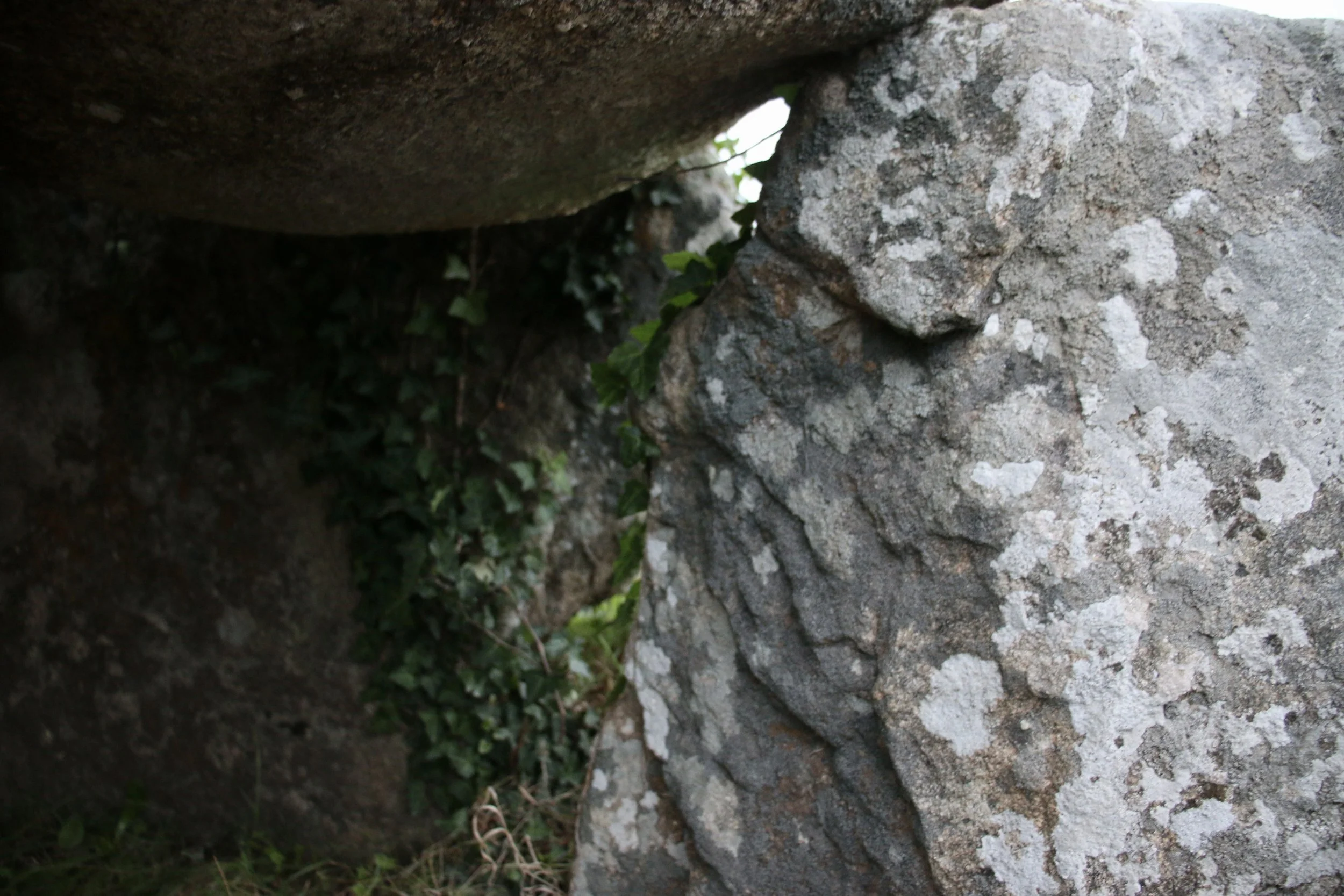 4790D079-949C-424B-90D0-60B04BE2A79E_1_201_a.jpeg