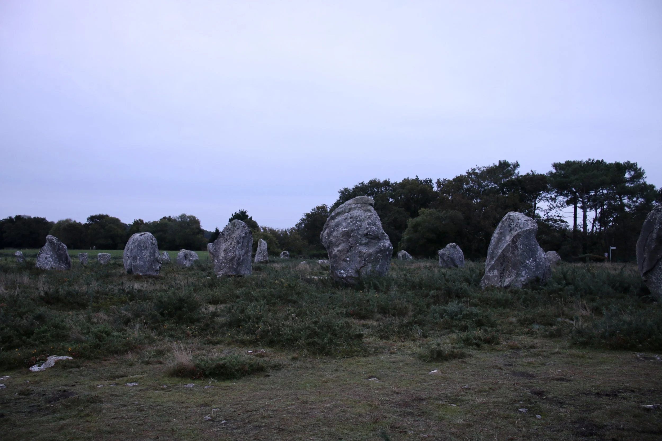 BF2894A6-336B-40BE-AD97-B6DB74700731_1_201_a.jpeg