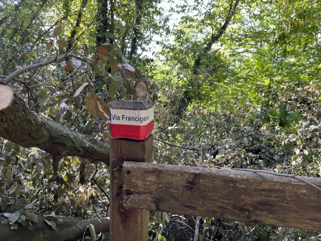 We're on the trail! :D