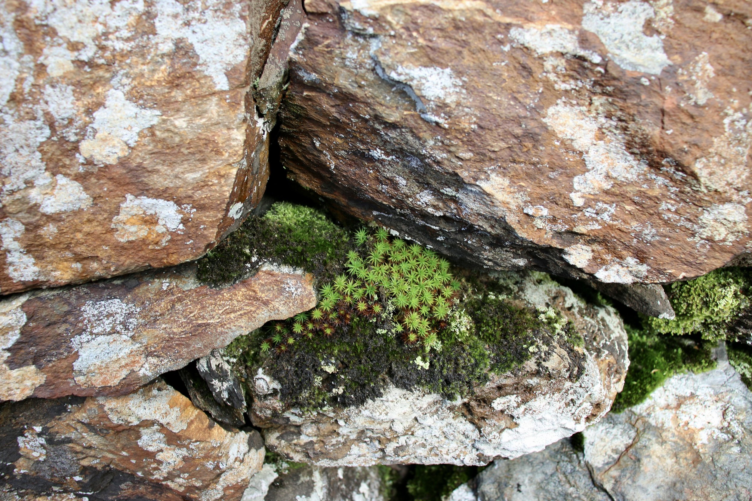 NUMINOUS Snowdonia Wales 12.jpeg