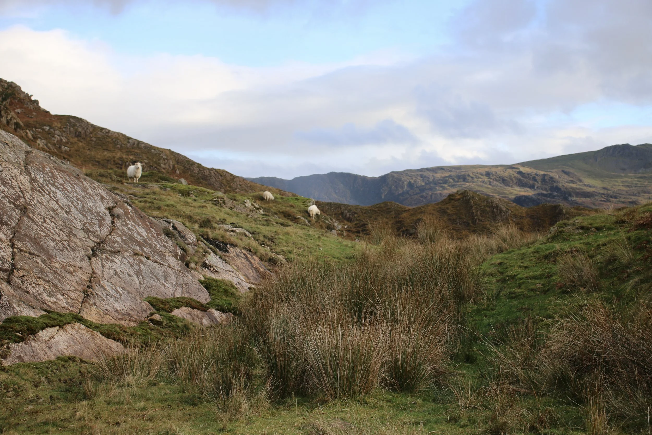 NUMINOUS Snowdonia Wales 3.jpeg