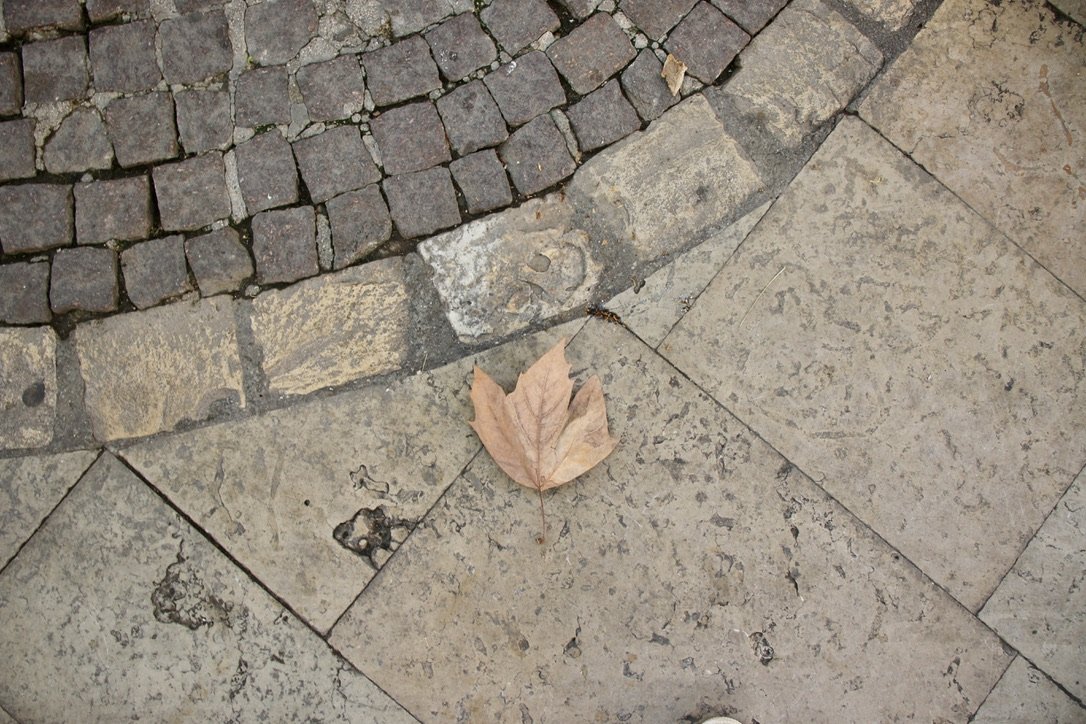 F49F24CB-7619-441C-8CD5-BE49ECAE2CE5_1_105_c.jpeg