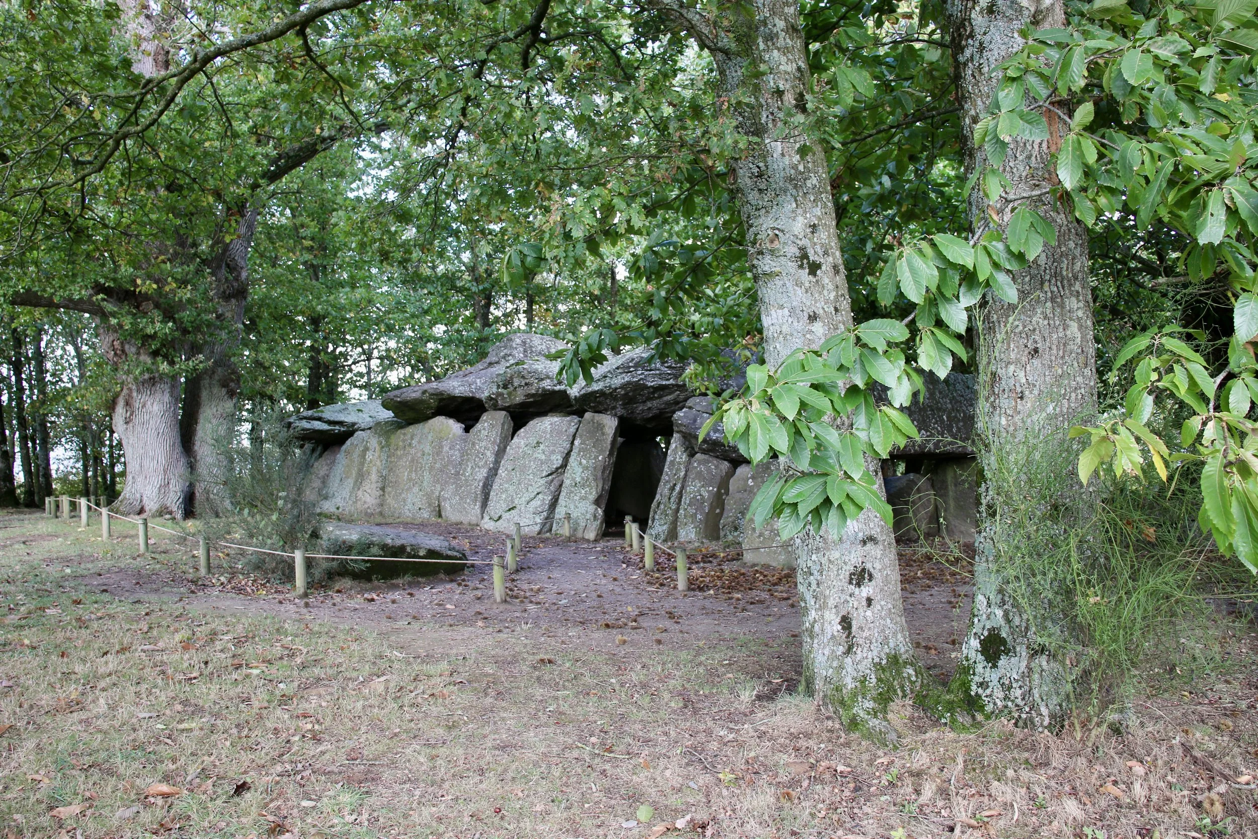 On the way to Carnac, we stopped by an enormous Dolman called La Roche aux Fées in Essé. 