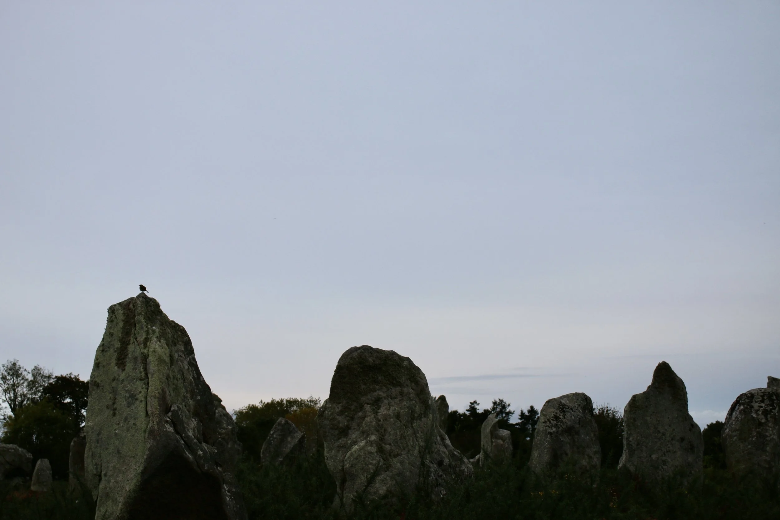 3169CC17-55A6-427A-AF61-B0CF684B438B_1_201_a.jpeg