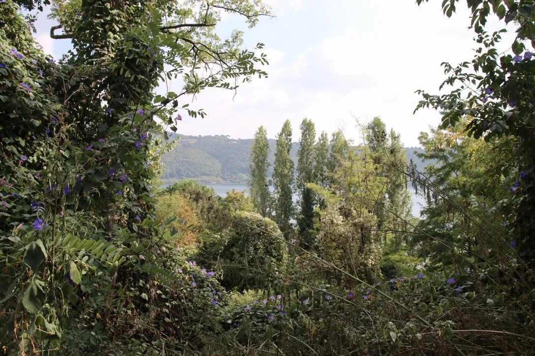 D2F6AC2E-9169-4A49-9A41-03FA8A530CA3_1_105_c.jpeg