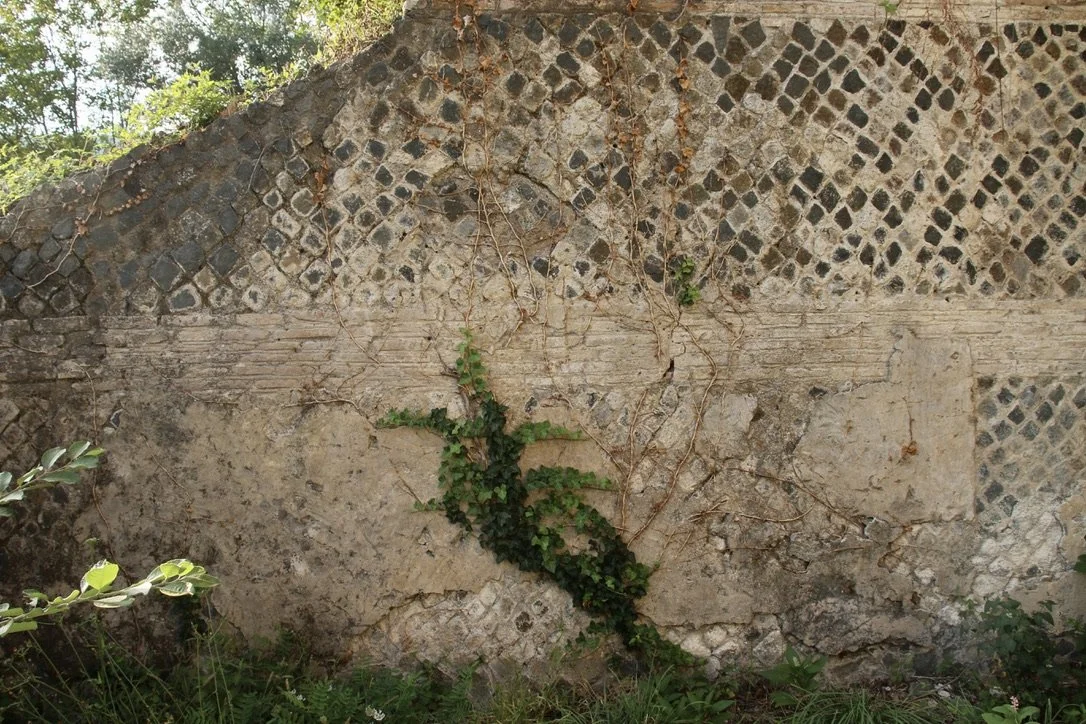 39BFDEE4-9918-4D7D-AD8A-A6F7743D9732_1_105_c.jpeg