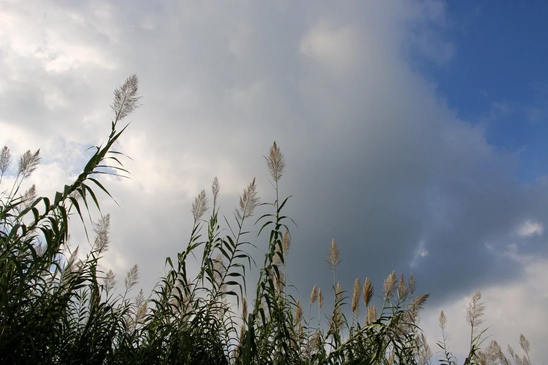 535770AB-E01C-49AB-8399-93811F94CB88_1_105_c.jpeg