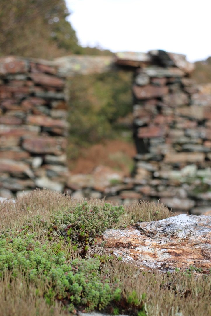 NUMINOUS Snowdonia Wales House Ruins 1.jpeg