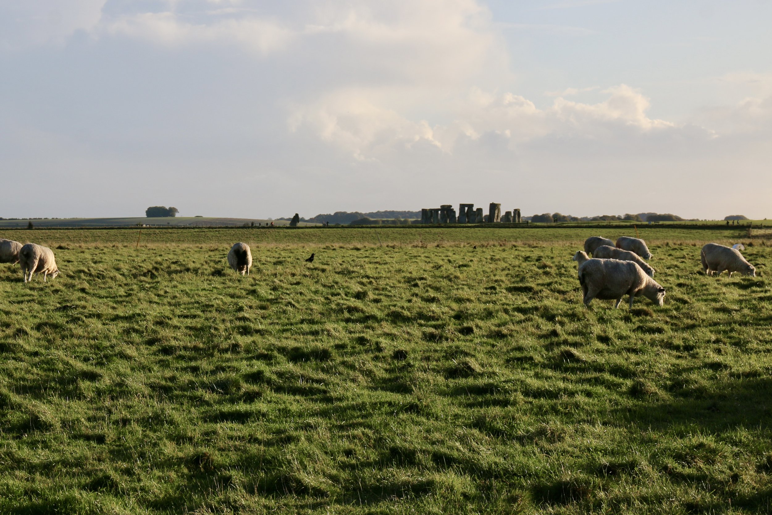 NUMINOUS England Stonehenge 5.jpeg
