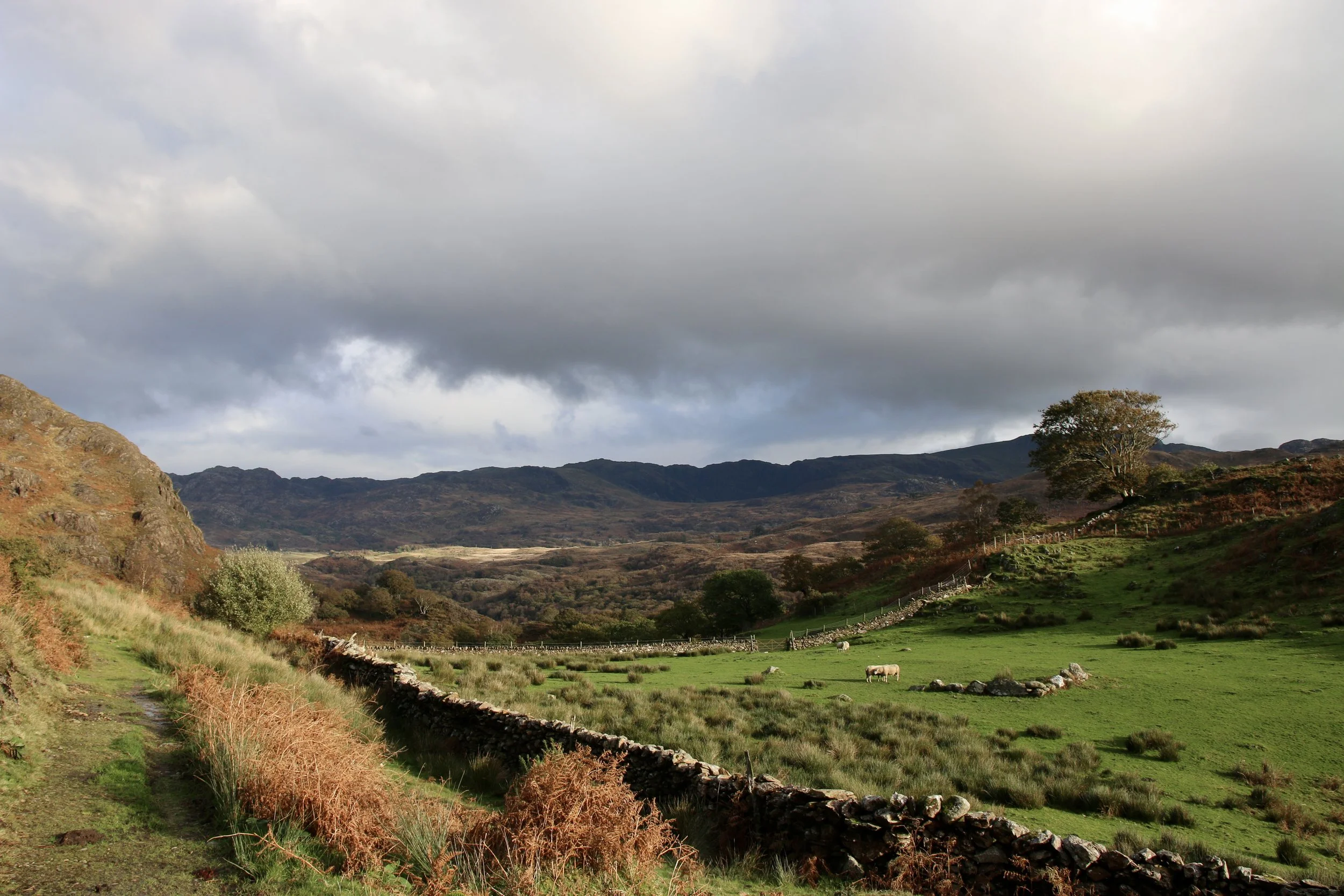 NUMINOUS Snowdonia Wales 5.jpeg