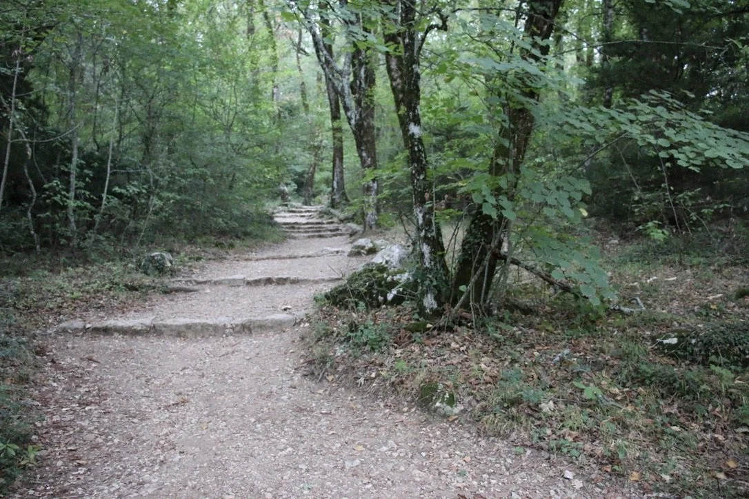 9728DE0D-CEAE-43A6-A0E5-F775CA6DC65F_1_105_c.jpeg