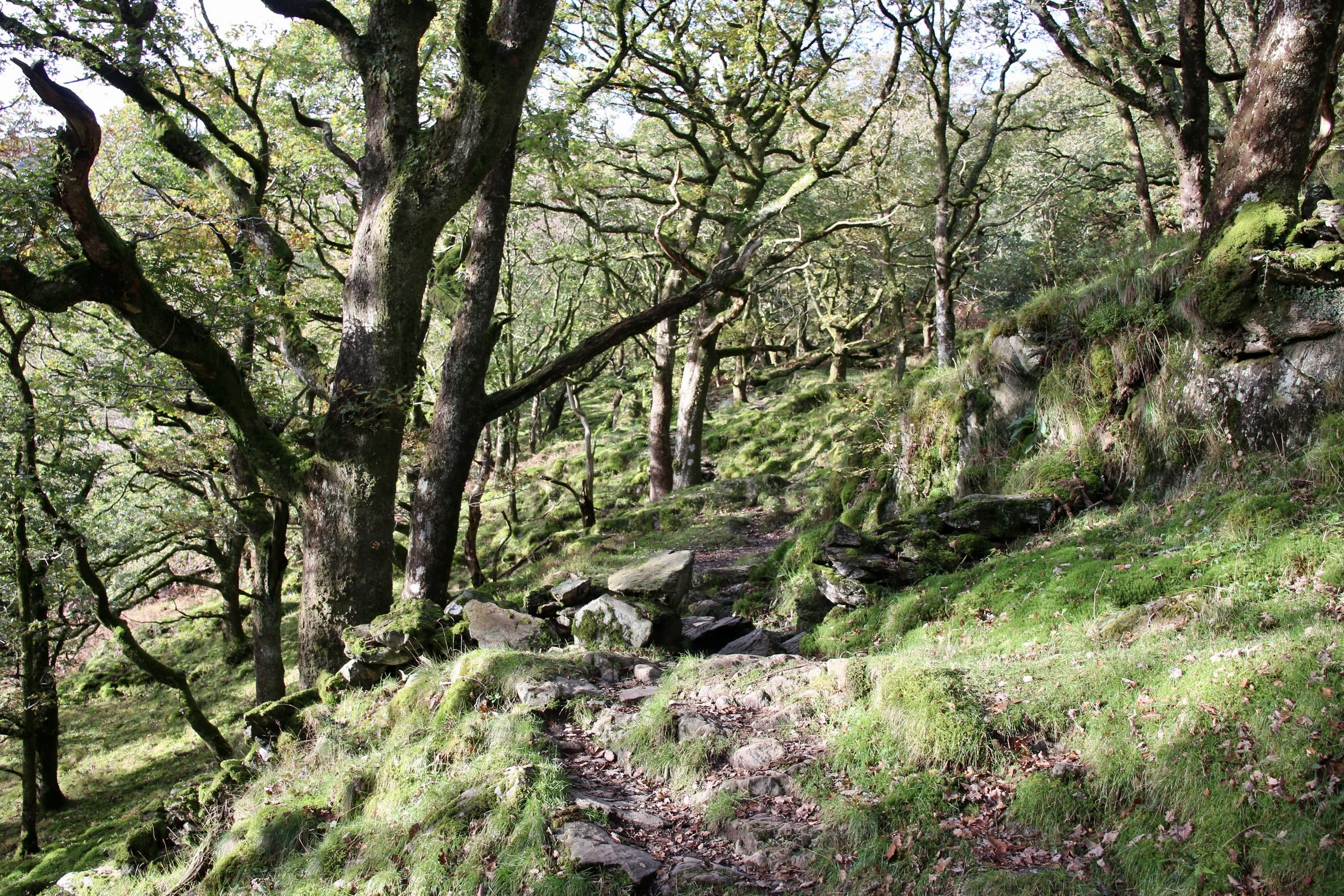 NUMINOUS Snowdonia Wales 6.jpeg