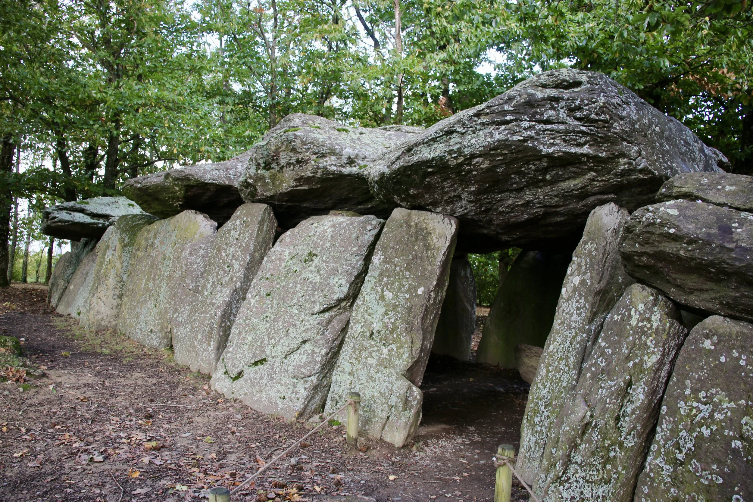 if we'd had time to spend the night, there likely would have been some lively faeries!