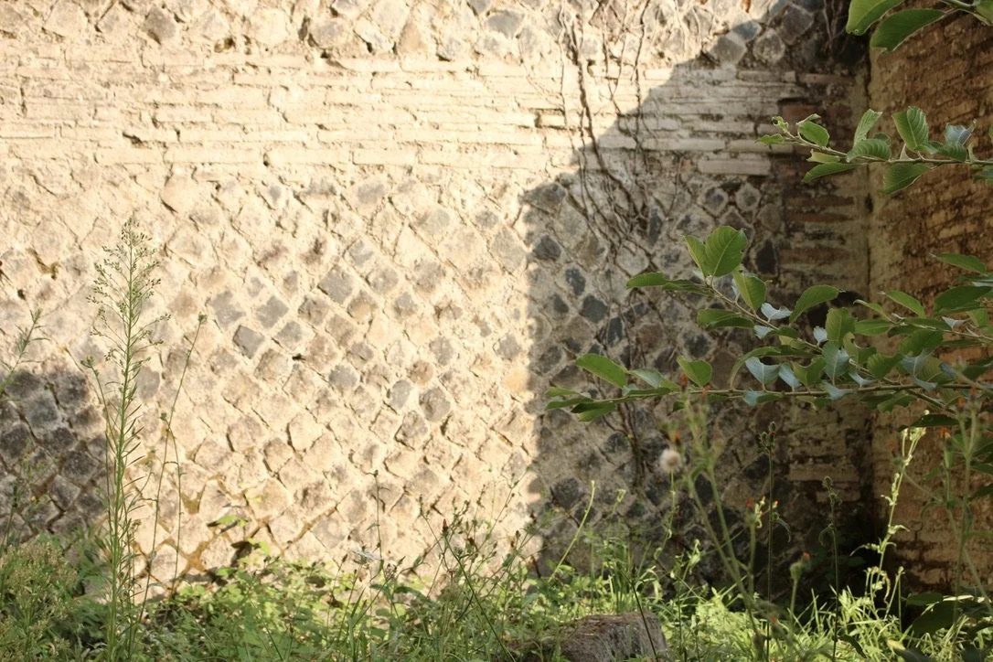 1E199948-6CF1-495F-ADC5-A27D53BC220D_1_105_c.jpeg