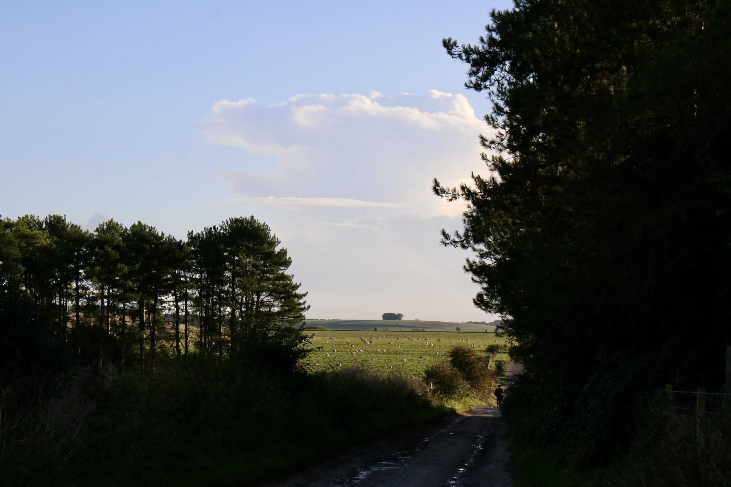 NUMINOUS England Stonehenge 12.jpeg