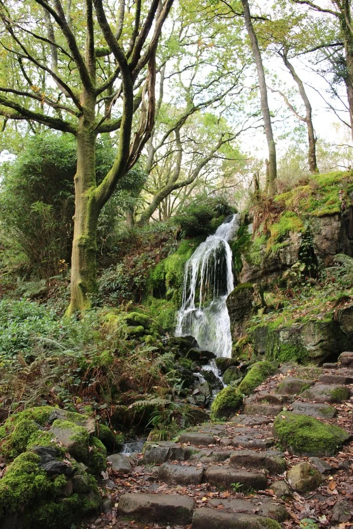 Larkin exploring up to Dinas Emrys