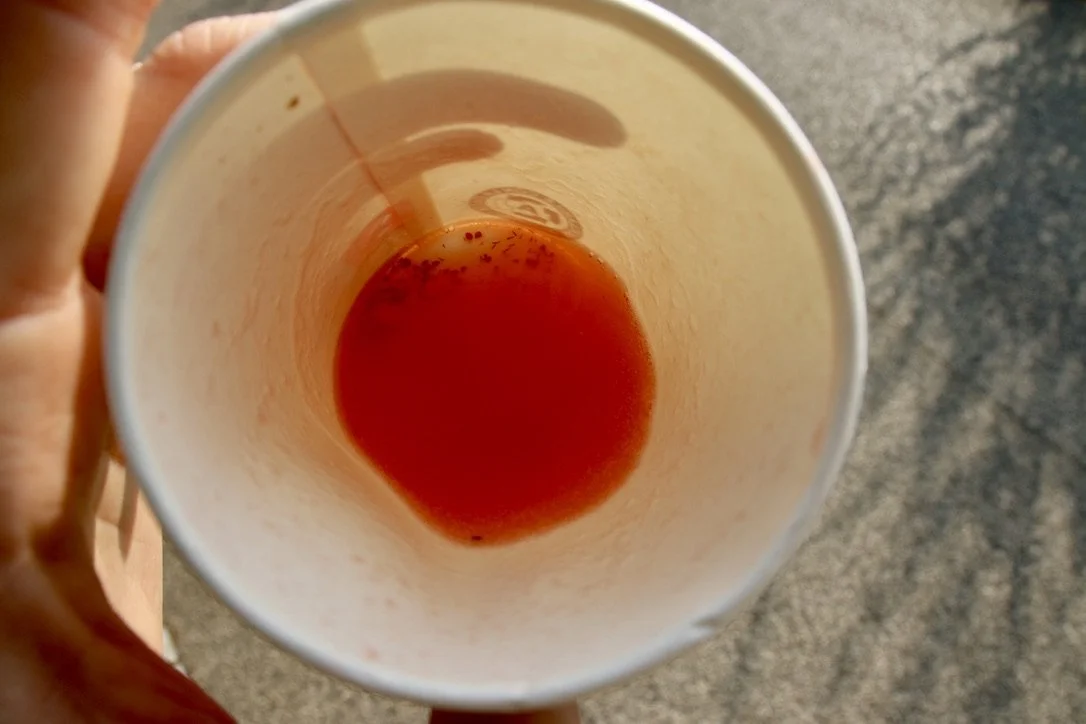 She gave us some AMAZING fresh strawberry juice with a leaf of chocolate bergamont