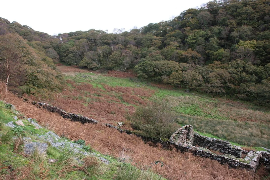 NUMINOUS Snowdonia Wales House Ruins 2.jpeg