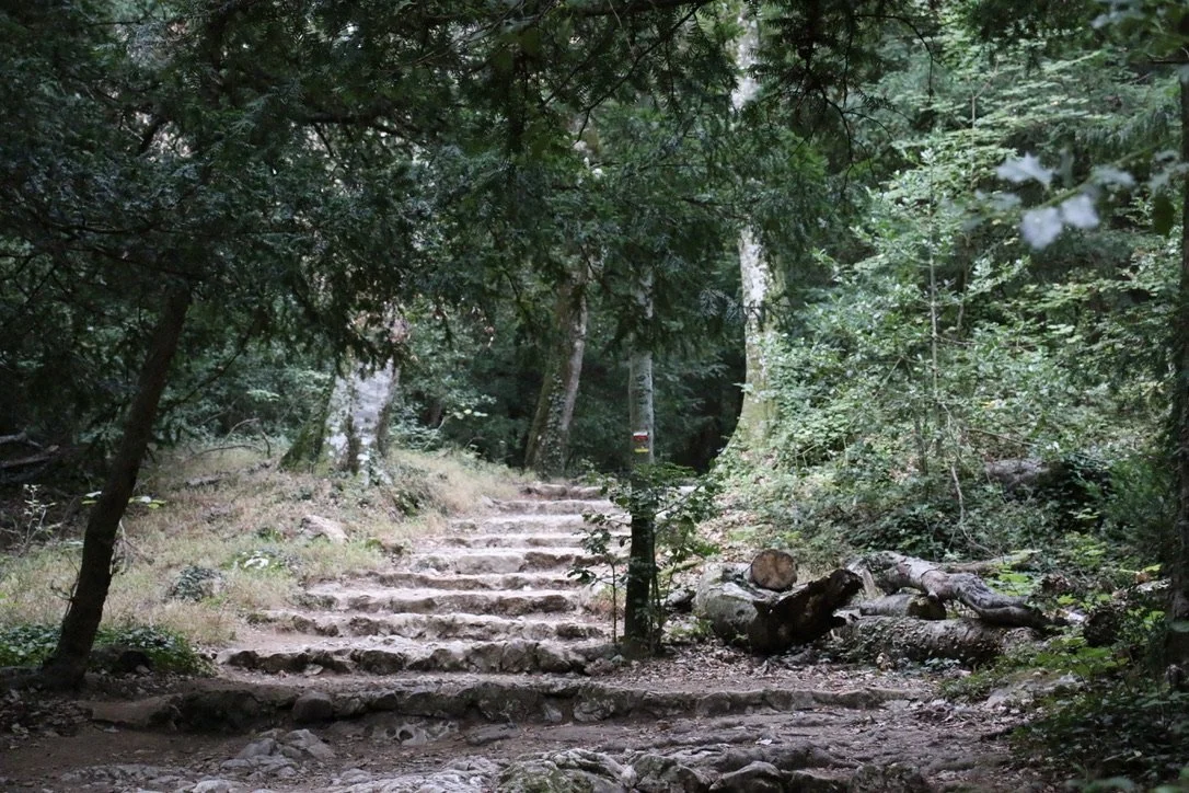 Finding the trail marker