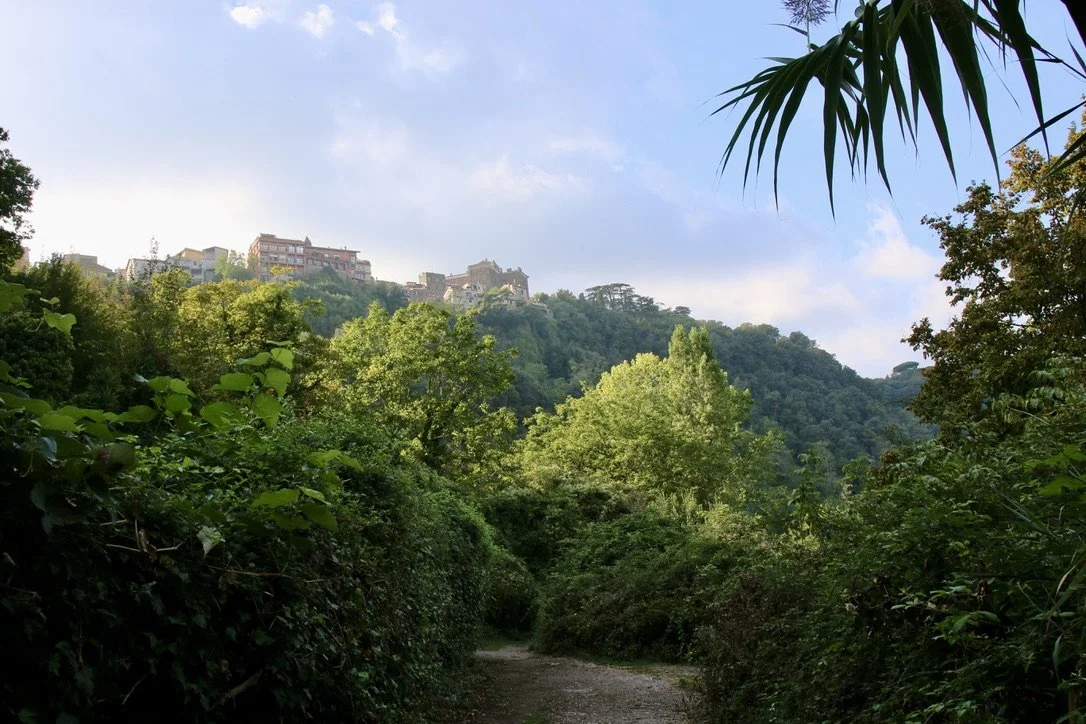 Looking back up at Genzano from the lake shore