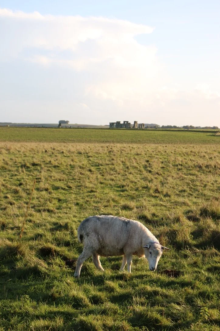 NUMINOUS England Stonehenge 15.jpeg