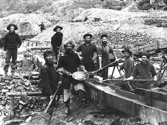 University of Washington: Special Collections