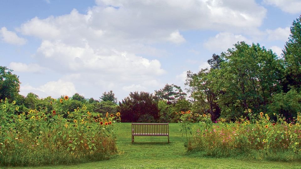 Root to Rise: A Celebration of Spring!