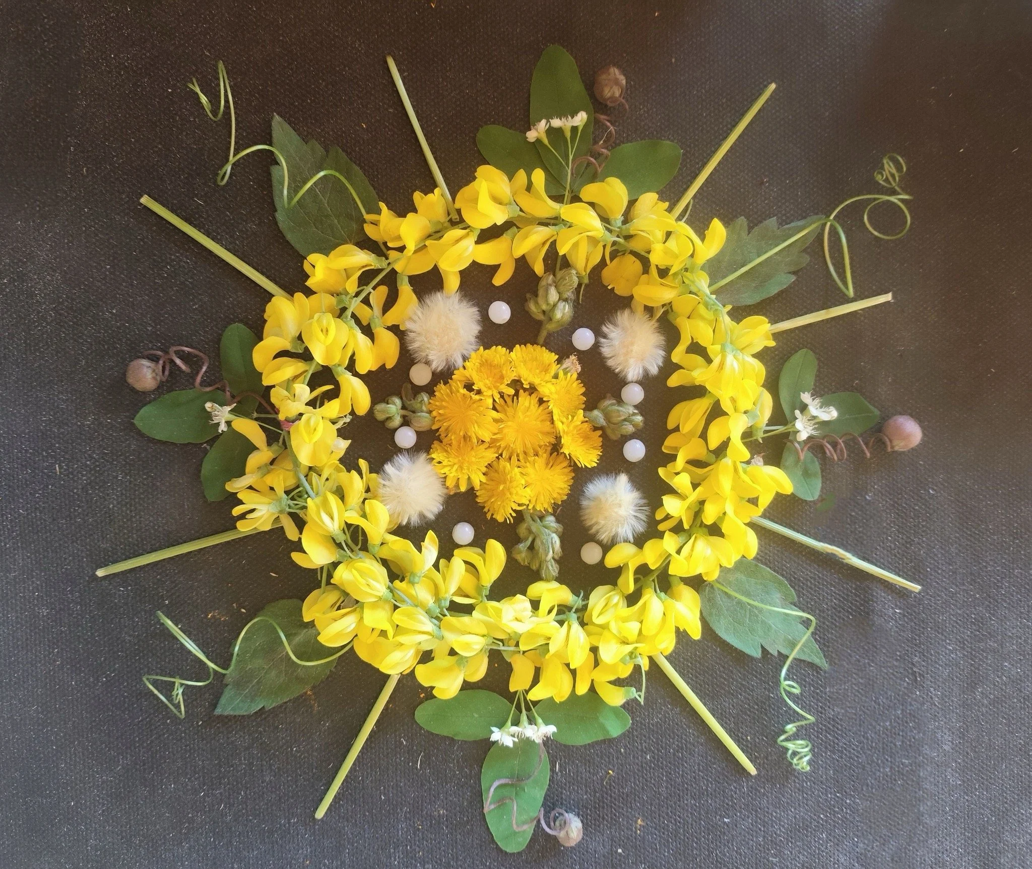 Summer Solstice Celebration!