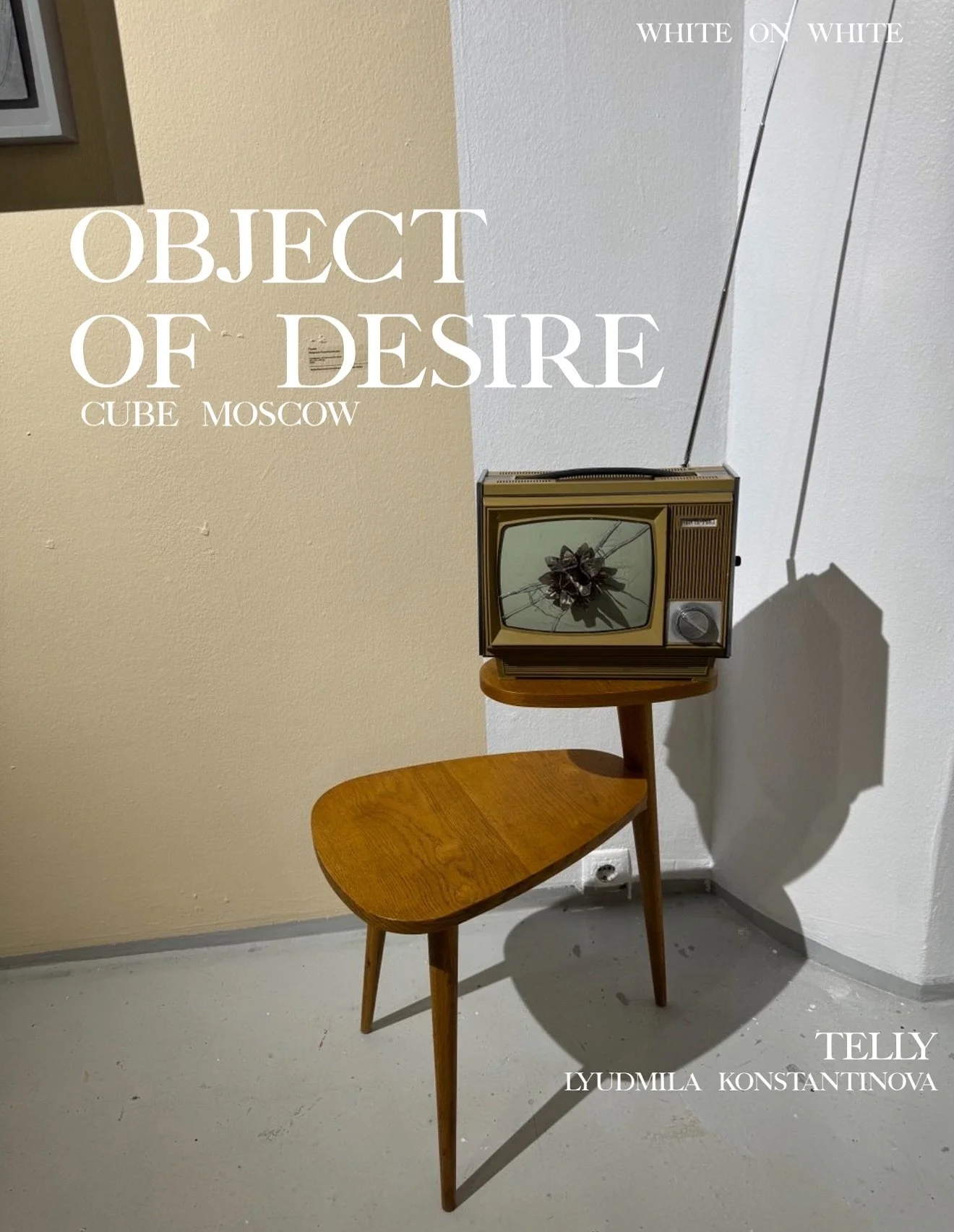 &laquo;Object of Desire&raquo; at Cube.Moscow is a large-scale group exhibition curated by Polina Mogilina, dedicated to exploring the phenomenon of collecting.

The exhibition stages and visualizes a dialogue not only between the owner and the artwo