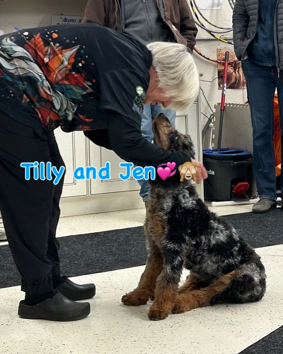 Chaos to Calm: Why In-Home Dog Training is a Game Changer!