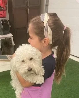 5* Positive Dog Training | Why Force-Free Methods Win