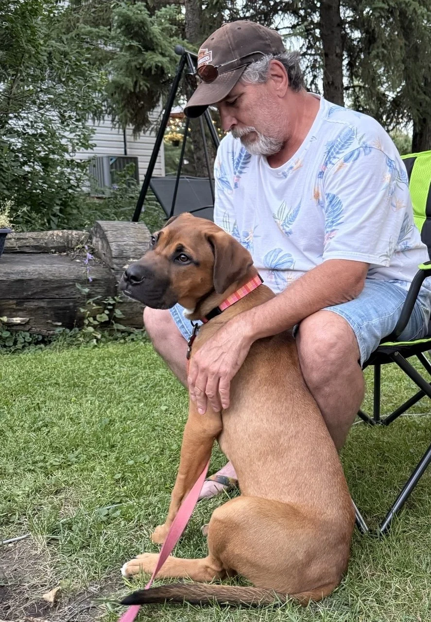 Positive reinforcement puppy &amp; dog training. What does it mean? Positive? Reward based?