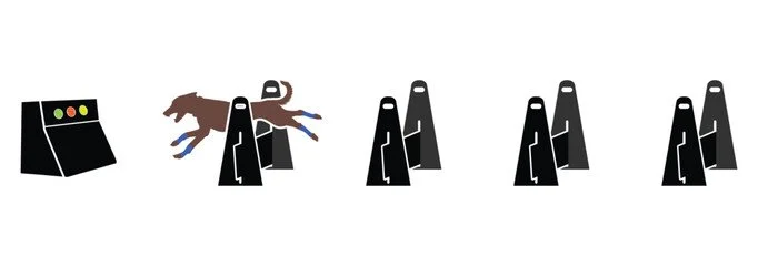 Flyball box and jumps with cartoon dog