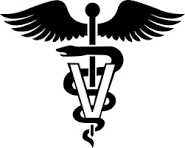 Medical caduceus symbol with a staff, wings, and a intertwined snake