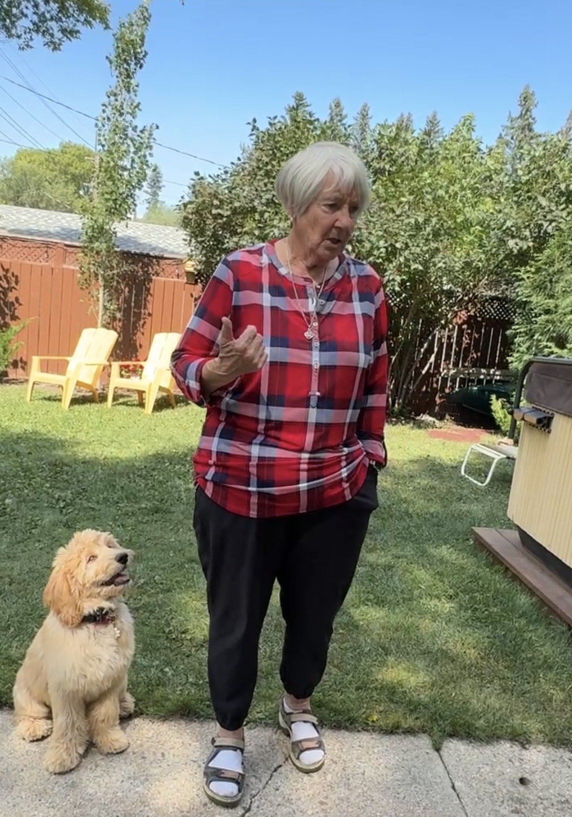 Jen, the trainer in the plaid shirt, calmly expllaining loose leash walking tips, manners training, and recalls outdoors. by using positive reinforcement training.